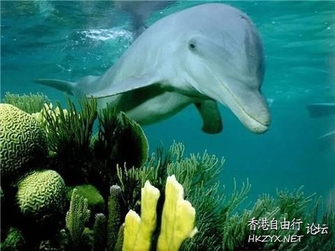   海洋生態