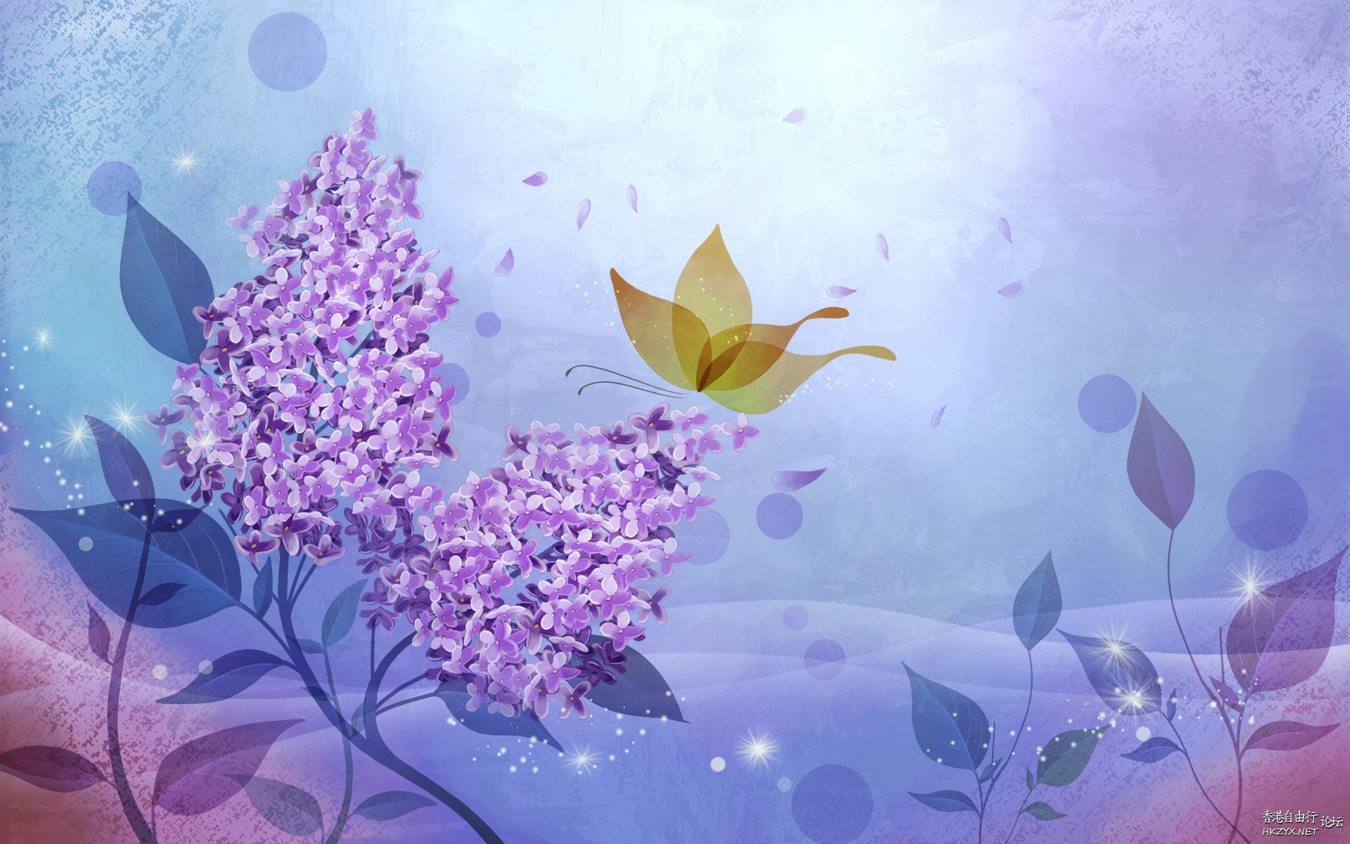 colourful flowers  Flowers花卉