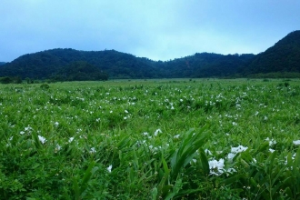   World Trave...欧美