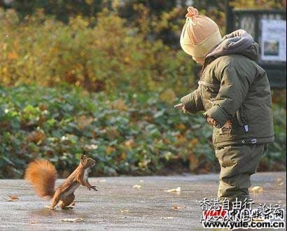   解悶園地