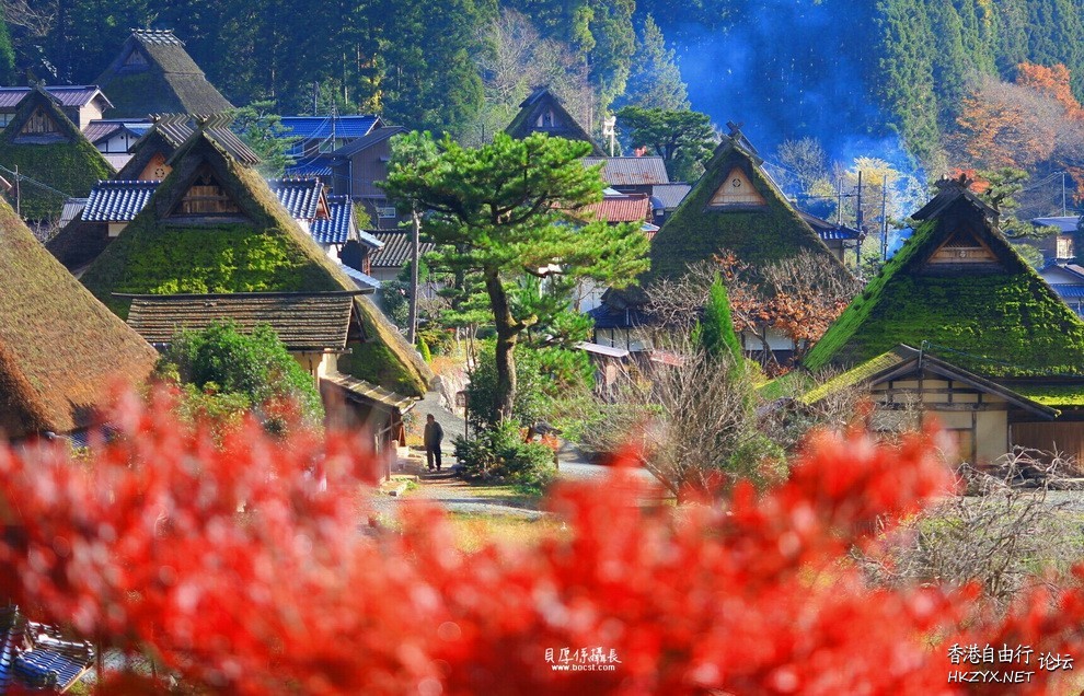 日本賞楓高清  Photography 攝影特區