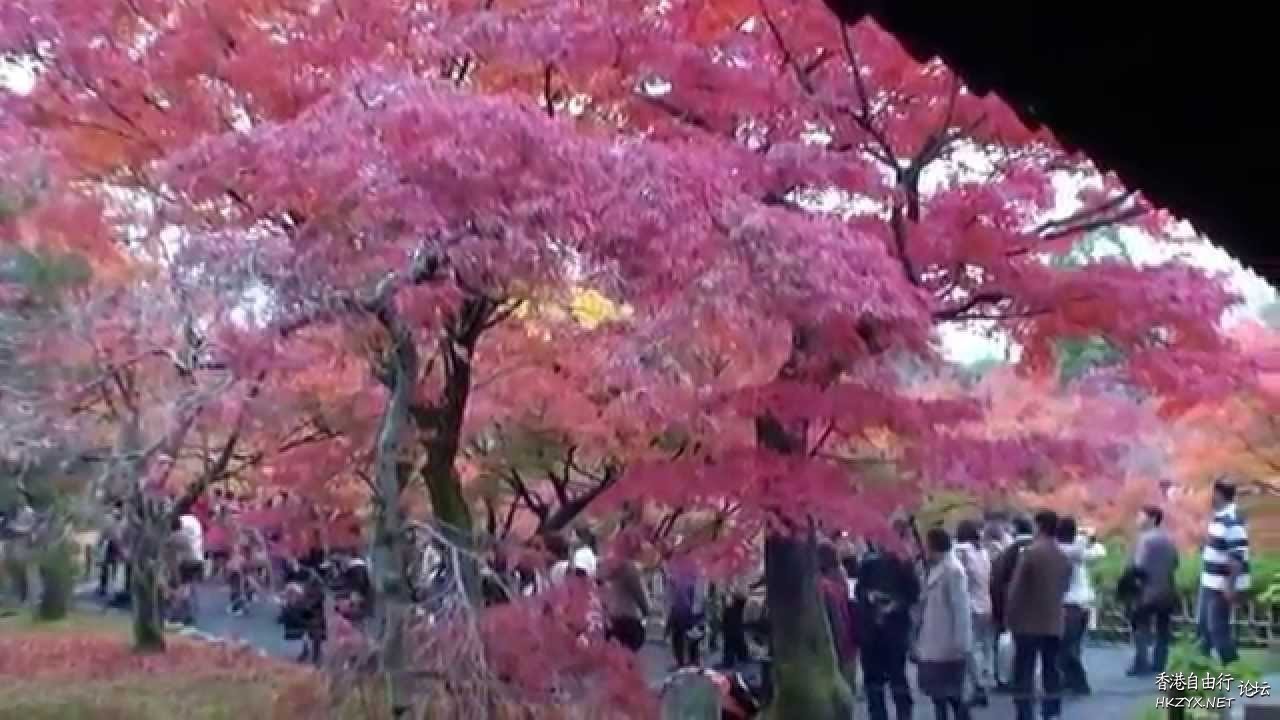   Photography 攝影特區