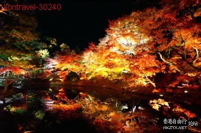   Photography 攝影特區