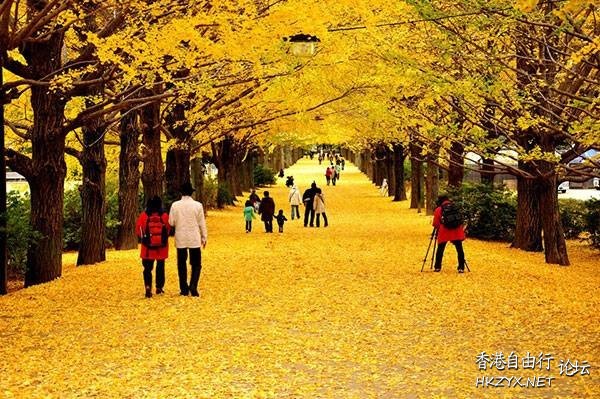   Photography 攝影特區