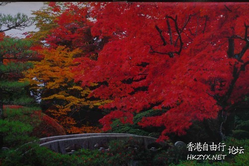   Photography 攝影特區