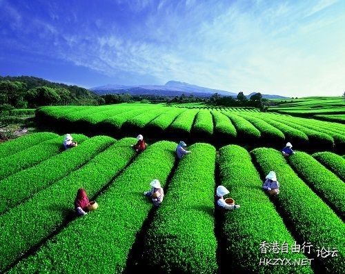   ChinaTravel 中國觀光景點