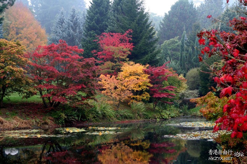 Colors of Autumn  貼上 精華分享