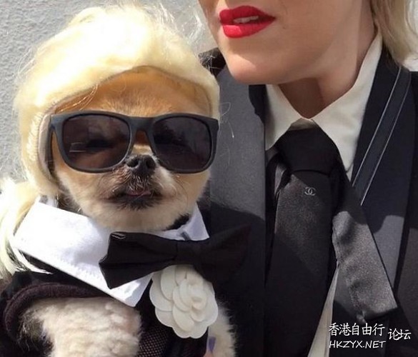 时尚流行-豬咁靚  Pets 寵物護理 +紀念堂