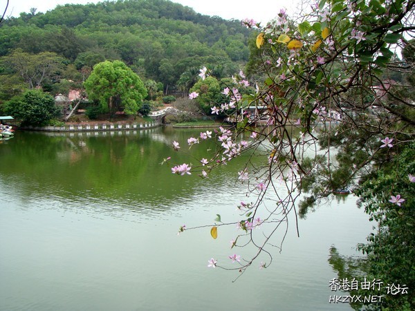東湖漫遊  ChinaTravel 中國觀光景點