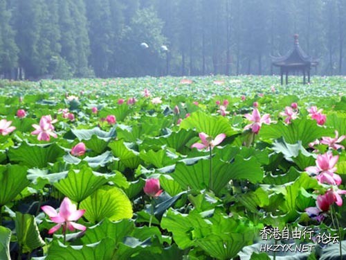 東湖漫遊  ChinaTravel 中國觀光景點