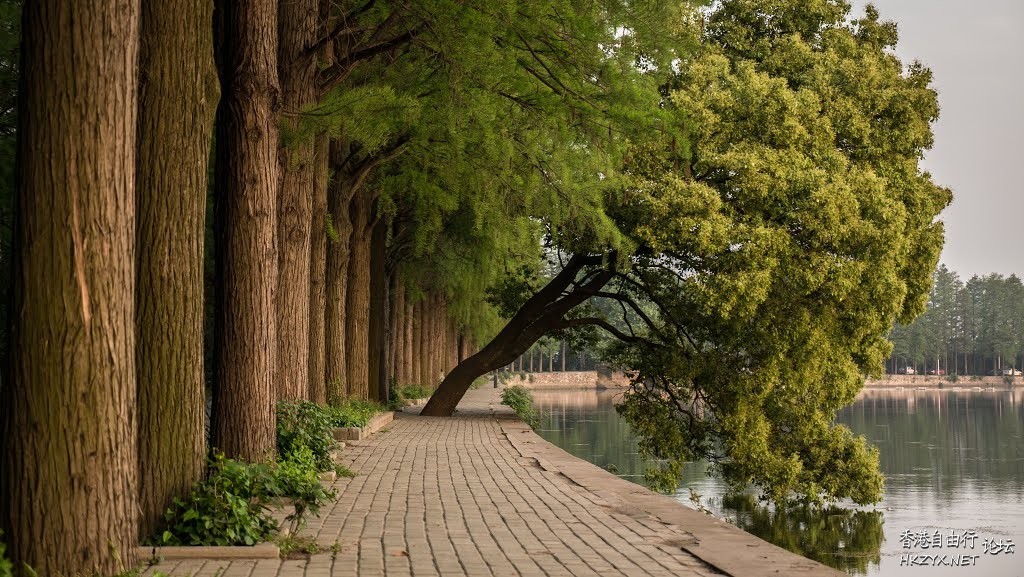    Landscape 山水湖林