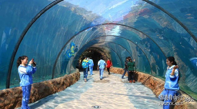 【橫琴海洋王國】  ChinaTravel 中國觀光景點
