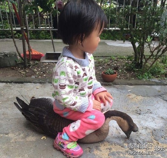   解悶園地