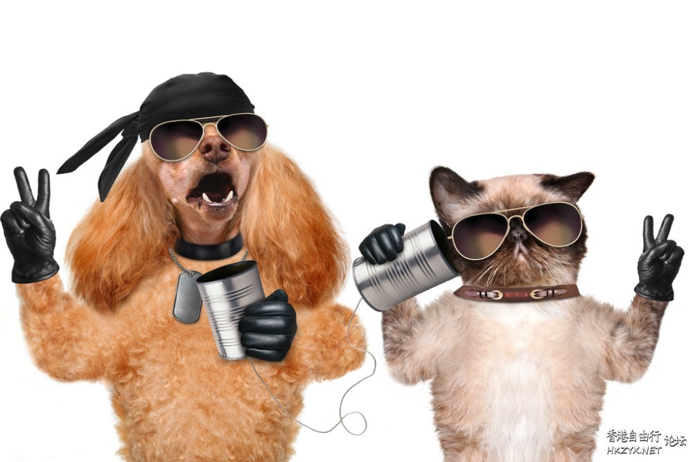 狗狗搞笑篇  Pets 寵物護理 +紀念堂