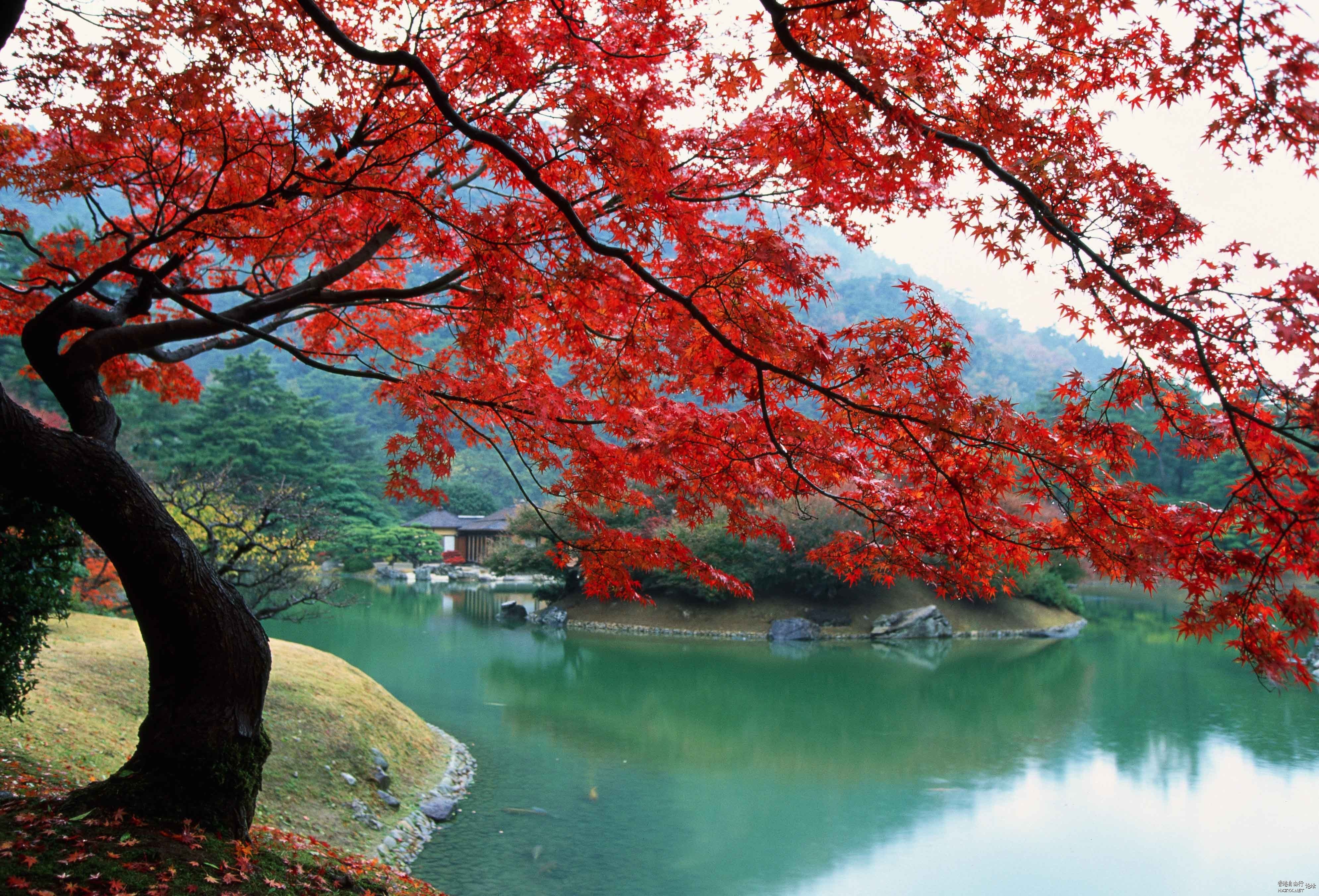    Landscape 山水湖林