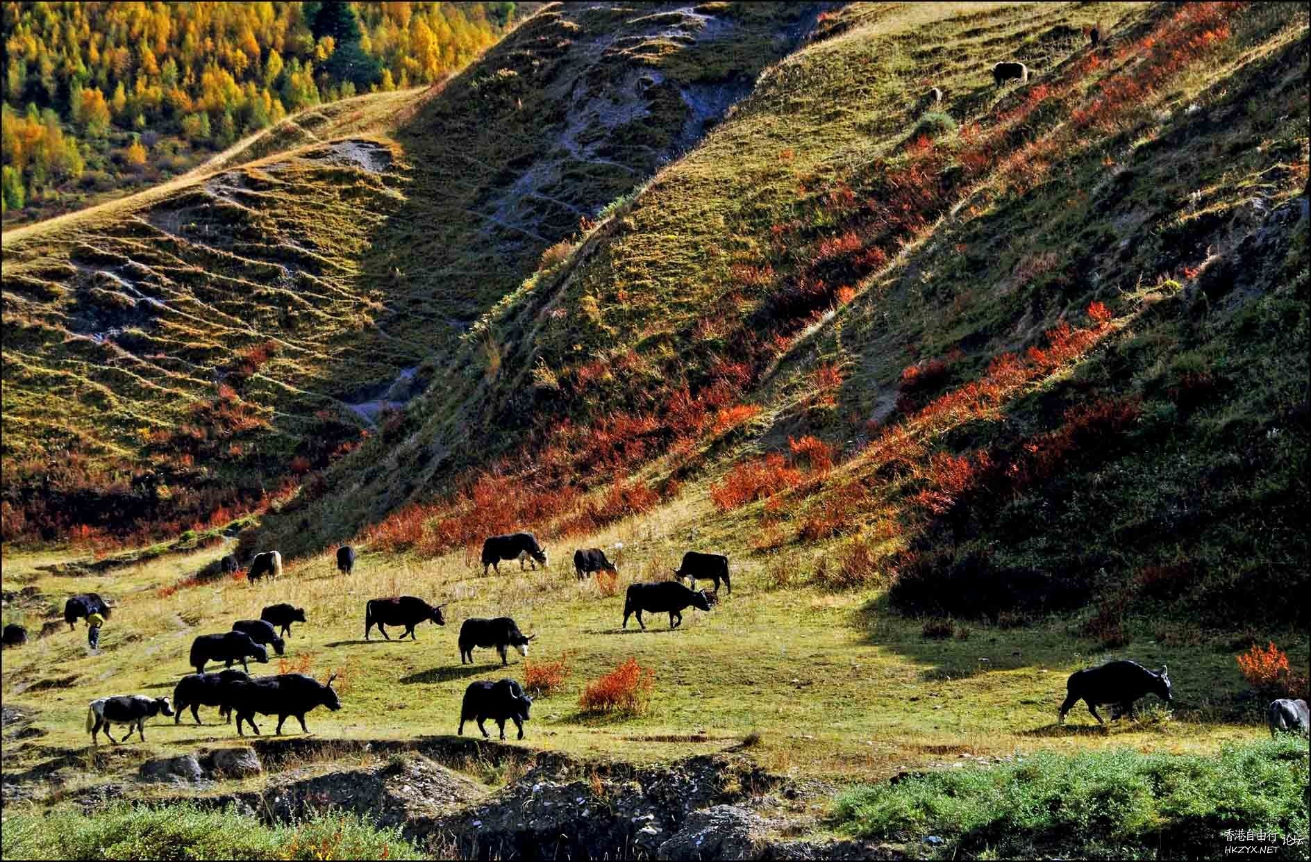   ChinaTravel 中國觀光景點