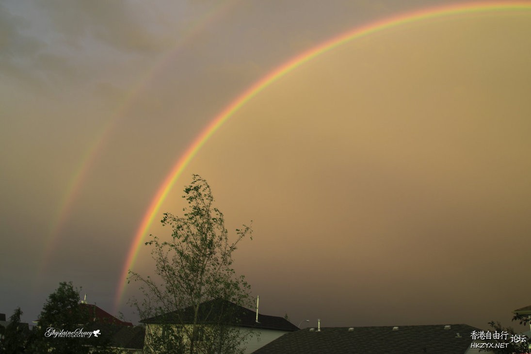 Rainbow  Photography 攝影特區
