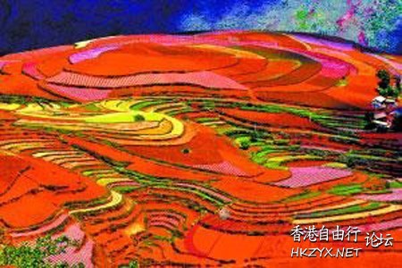 世界各地红土地  World Trave...欧美