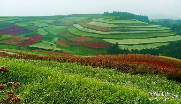世界各地红土地  World Trave...欧美