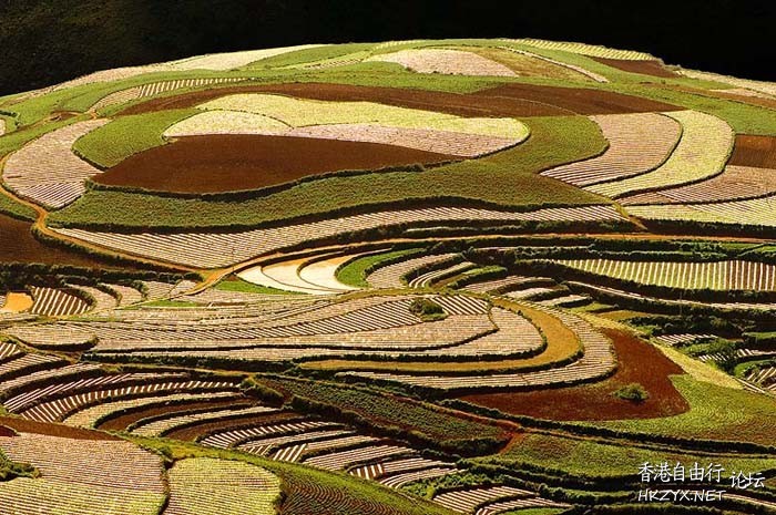 世界各地红土地  World Trave...欧美