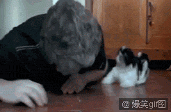   Nonsensical 無厘頭图片