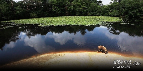 日本列岛 动物物语  World Trave...欧美