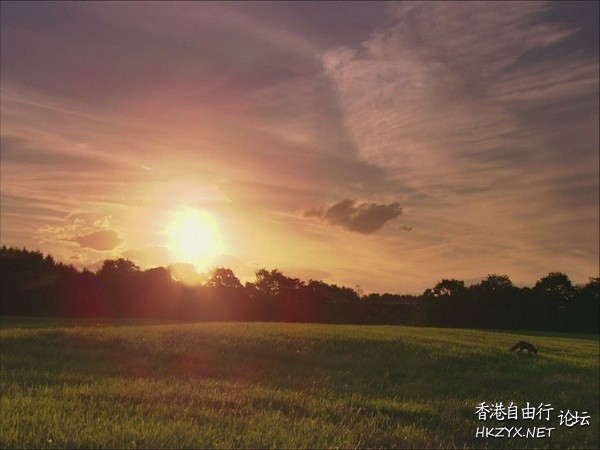   Photography 攝影特區