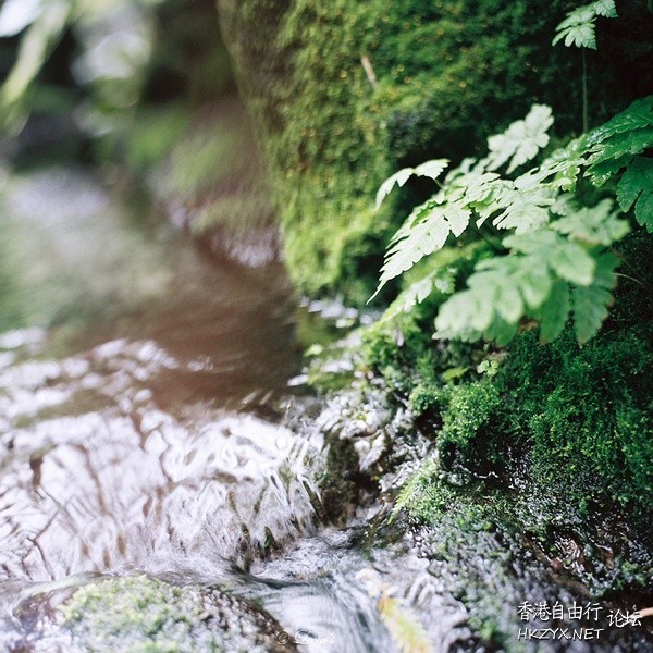 Nature Detail  貼上 精華分享