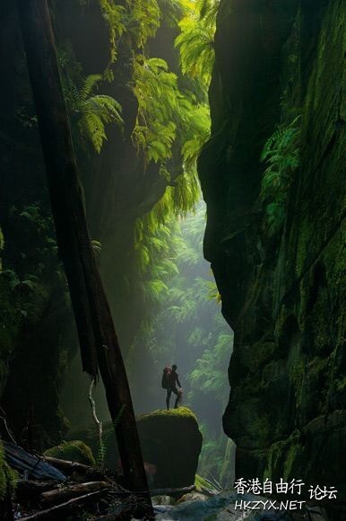 Nature Detail  貼上 精華分享