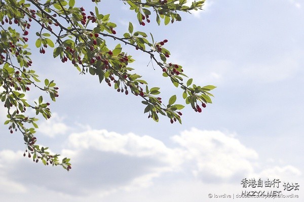 Nature Detail  貼上 精華分享