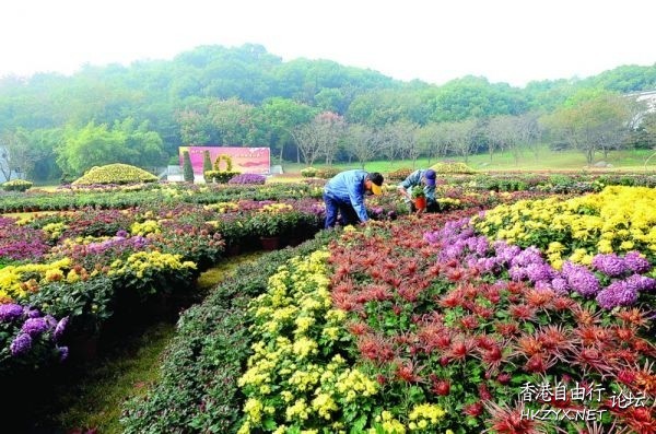 上方山国家森林公园  ChinaTravel 中國觀光景點