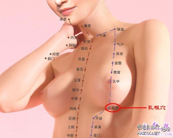 幫你締造神奇大乳房  Ladies World 女性世界