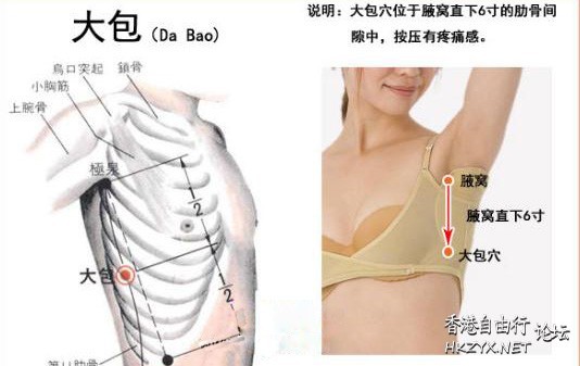 幫你締造神奇大乳房  Ladies World 女性世界