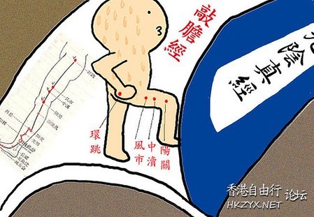 敲敲膽經白髮變黑髮  Hair Treatment髮室問症
