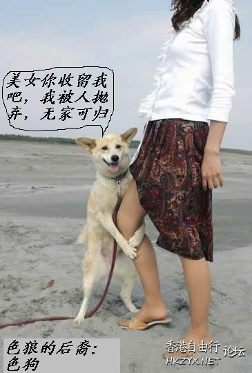 爆笑-無厘頭图片  Nonsensical 無厘頭图片