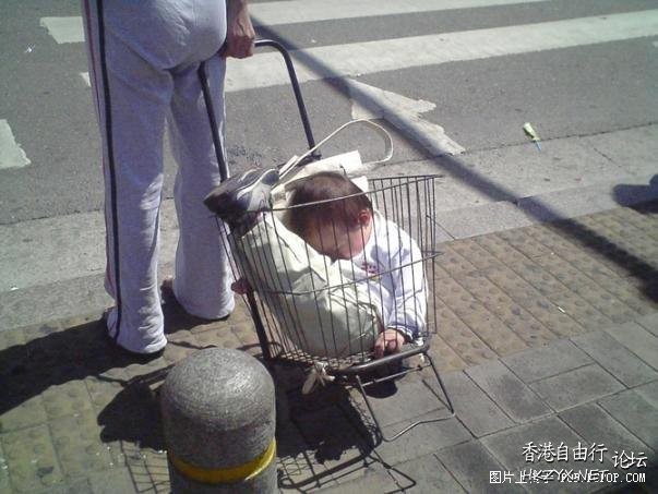 funny baby with pets  Funny Baby