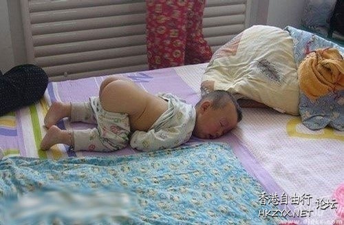 funny baby with pets  Funny Baby