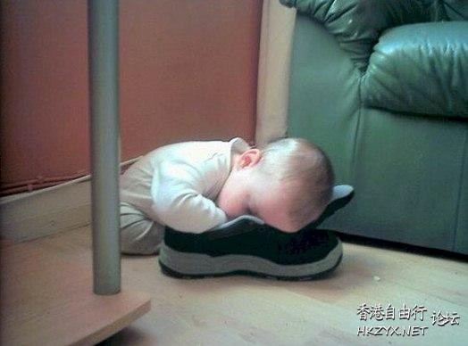   Baby 虾仔虾女
