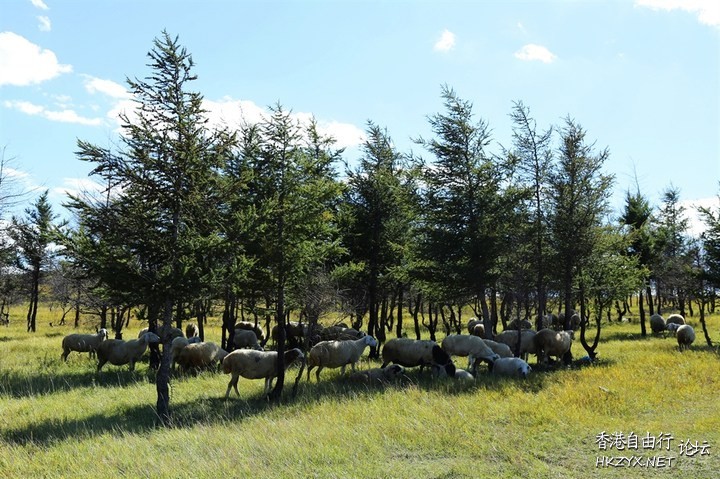    Landscape 山水湖林