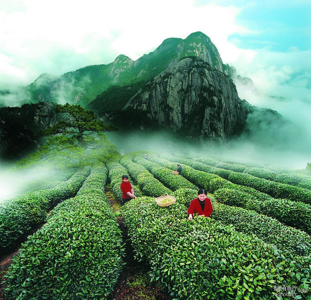 武夷山一遊  ChinaTravel 中國觀光景點