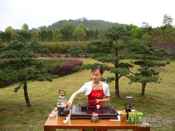 武夷山一遊  ChinaTravel 中國觀光景點