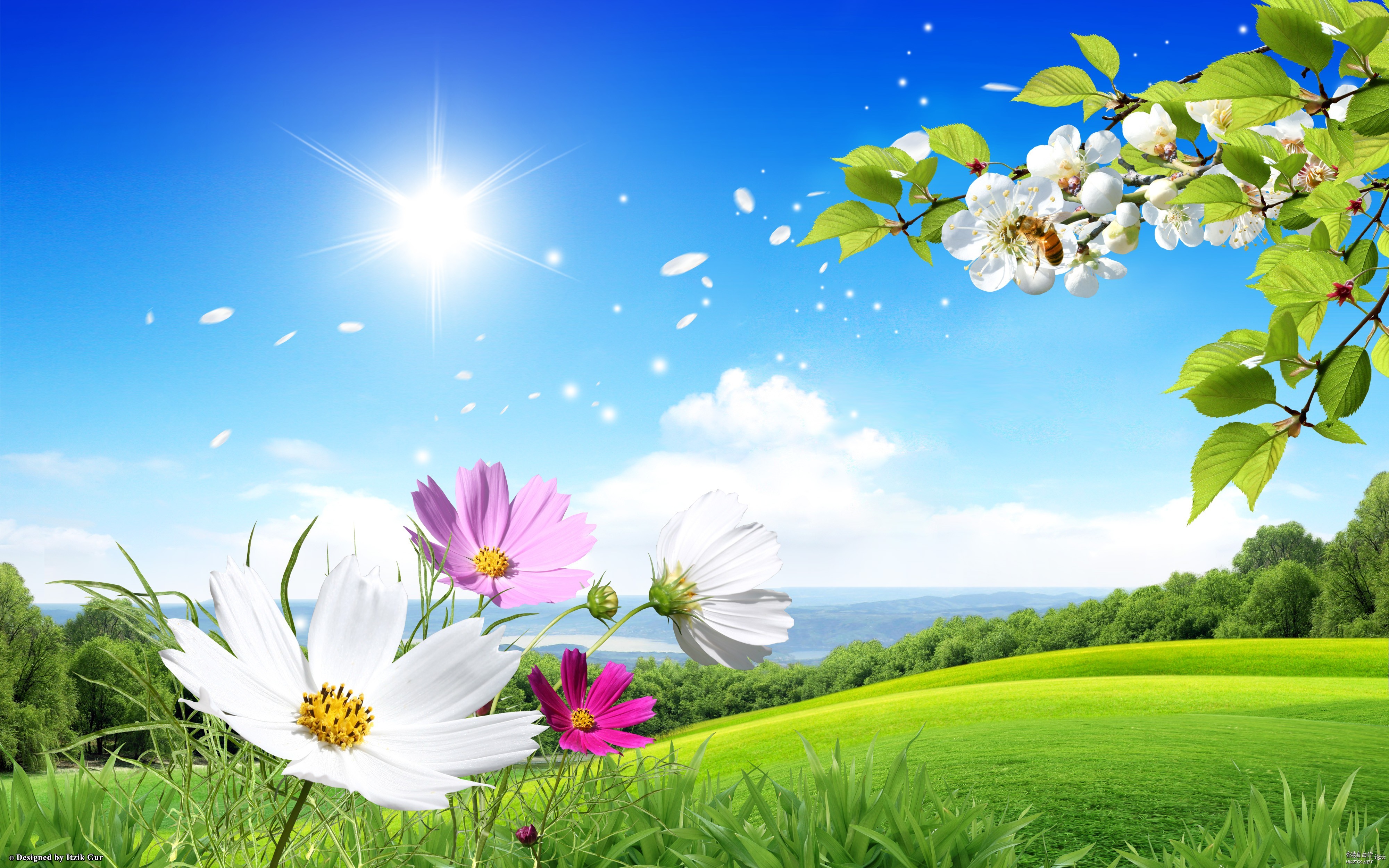 Lily Flower For Mobile  Phones 手機天下 電腦
