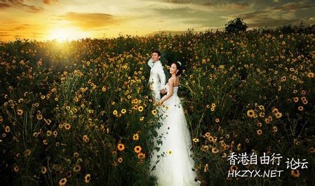   婚礼服務