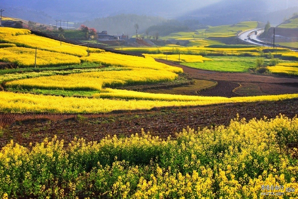    Landscape 山水湖林