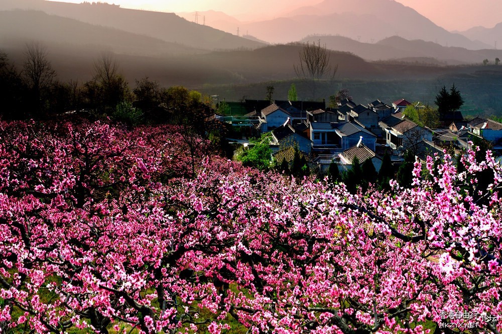 在哪桃花盛开的地方  ChinaTravel 中國觀光景點