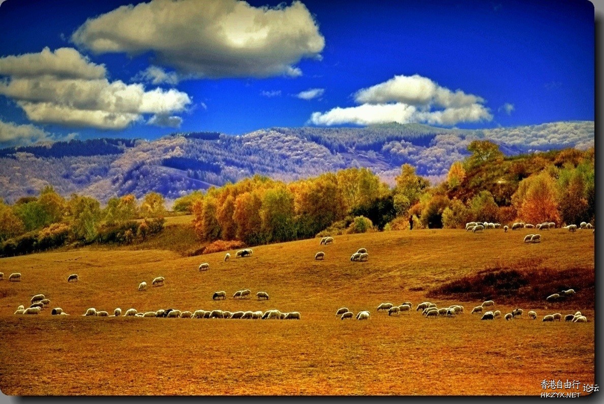    Landscape 山水湖林