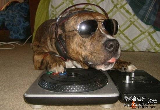   Pets 寵物護理 +紀念堂