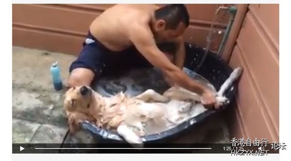   Pets 寵物護理 +紀念堂