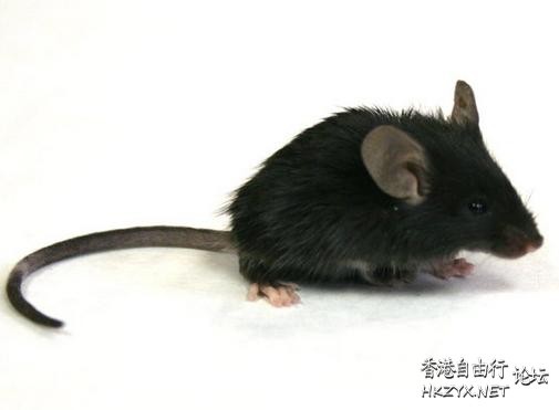 說件濺事/醜事來睇下！  男人吹水亭