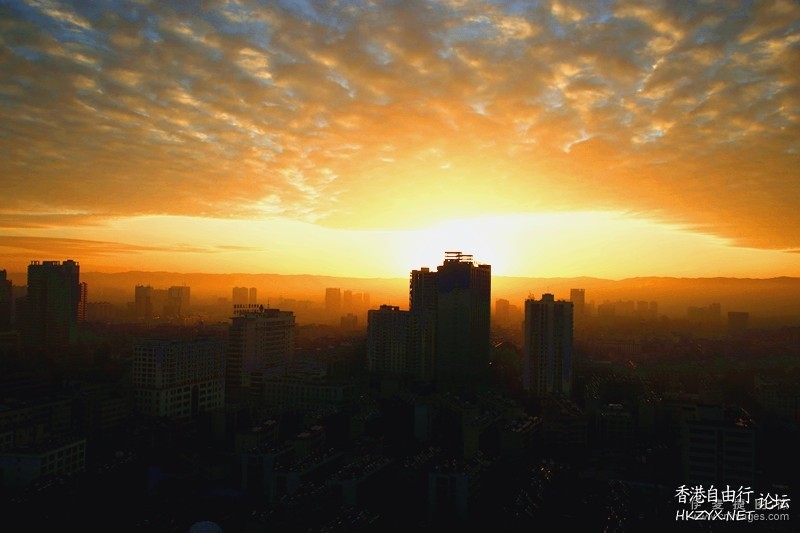   Gallery 畫廊天地